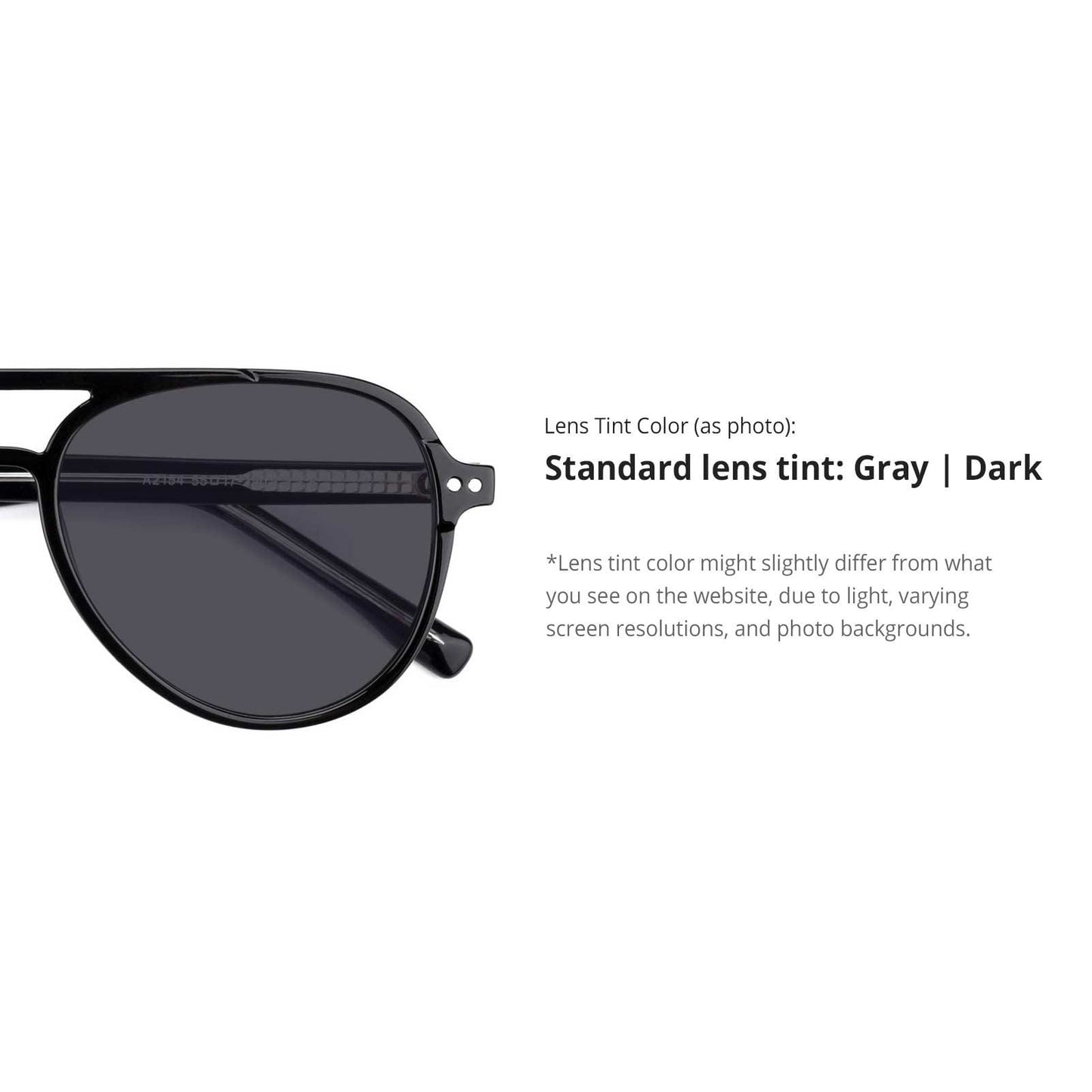 Artists Plano Sunglasses